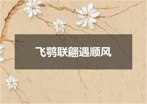 飞鹗联翩遇顺风