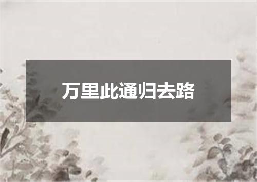 万里此通归去路