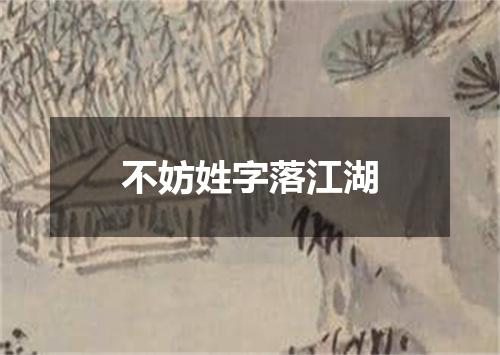 不妨姓字落江湖