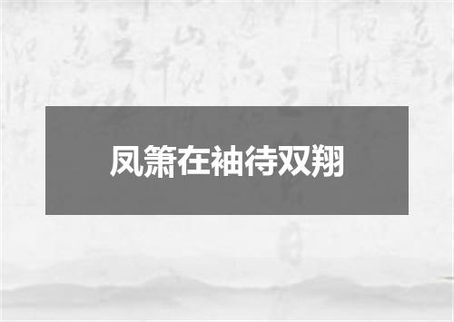 凤箫在袖待双翔