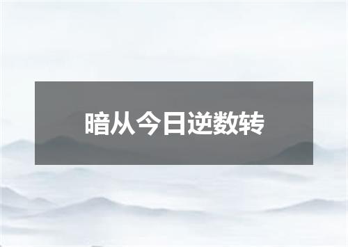 暗从今日逆数转