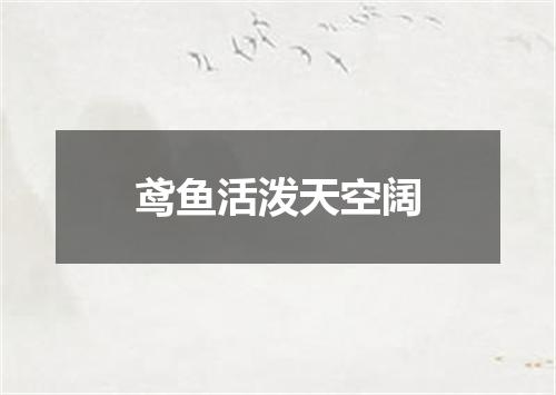 鸢鱼活泼天空阔