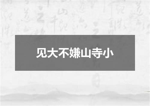 见大不嫌山寺小