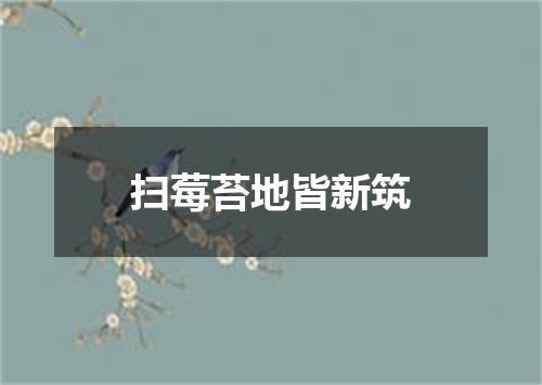 扫莓苔地皆新筑