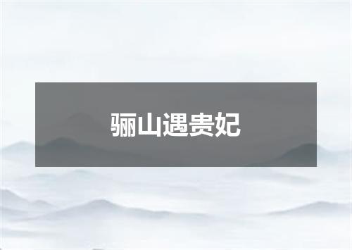 骊山遇贵妃