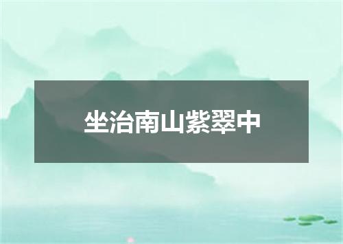 坐治南山紫翠中