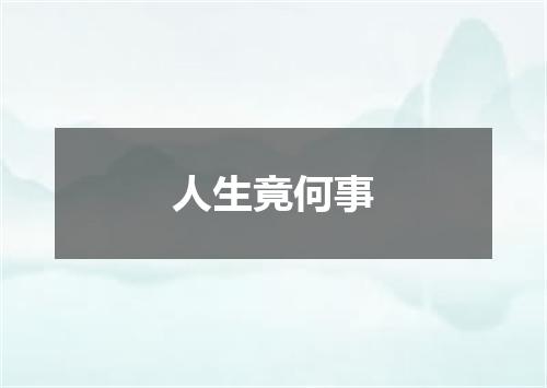 人生竟何事