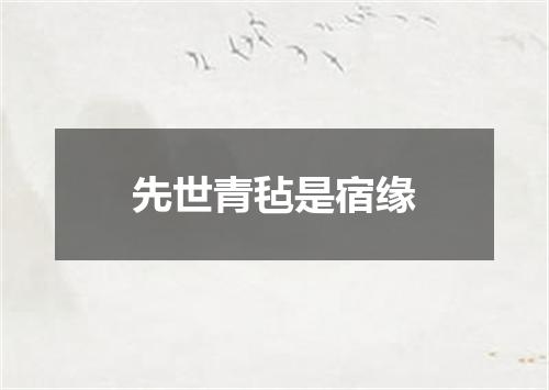 先世青毡是宿缘