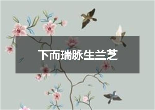 下而瑞脉生兰芝