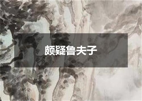 颇疑鲁夫子