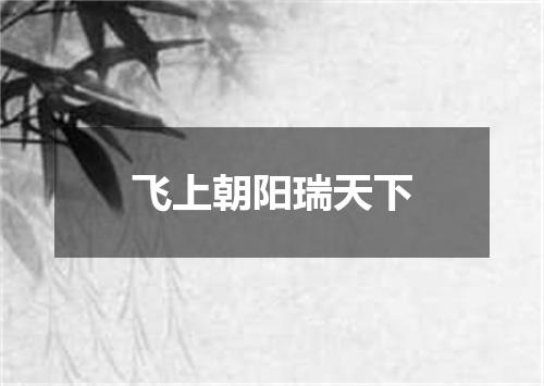 飞上朝阳瑞天下