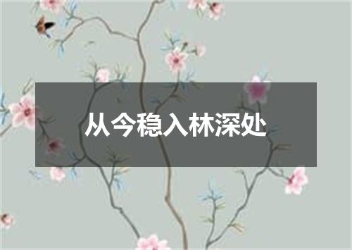 从今稳入林深处