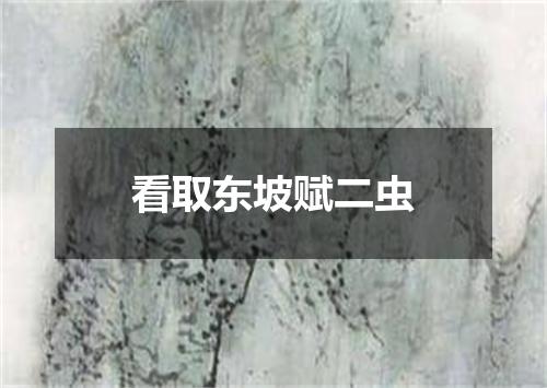 看取东坡赋二虫