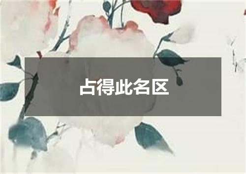 占得此名区