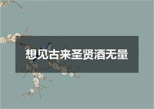 想见古来圣贤酒无量