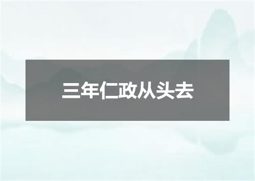 三年仁政从头去