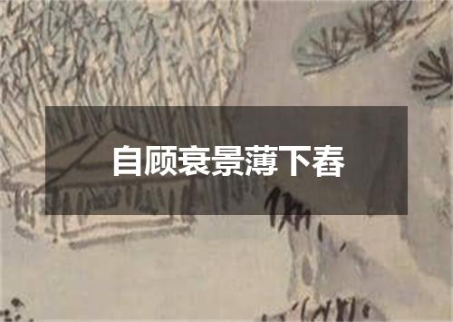 自顾衰景薄下舂