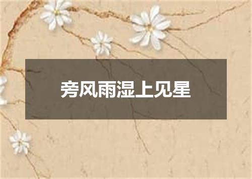 旁风雨湿上见星