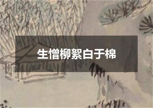 生憎柳絮白于棉