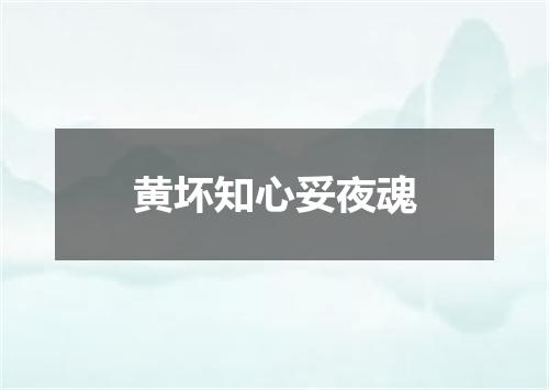 黄坏知心妥夜魂