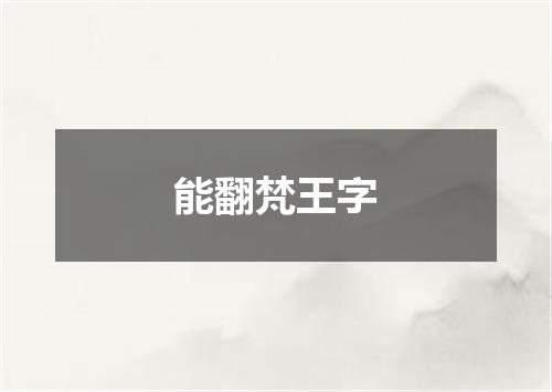 能翻梵王字