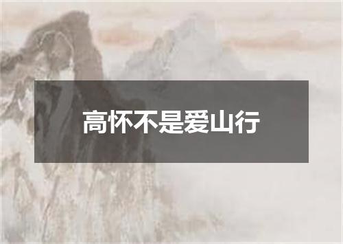 高怀不是爱山行