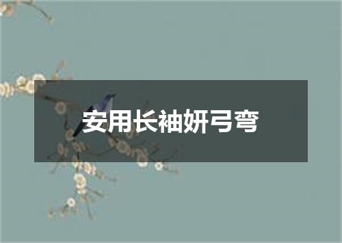 安用长袖妍弓弯