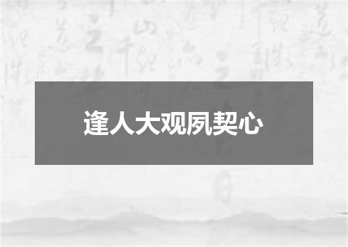 逢人大观夙契心
