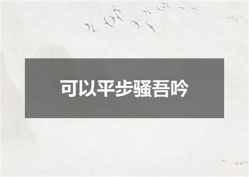 可以平步骚吾吟