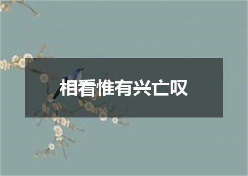 相看惟有兴亡叹