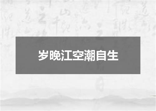 岁晚江空潮自生