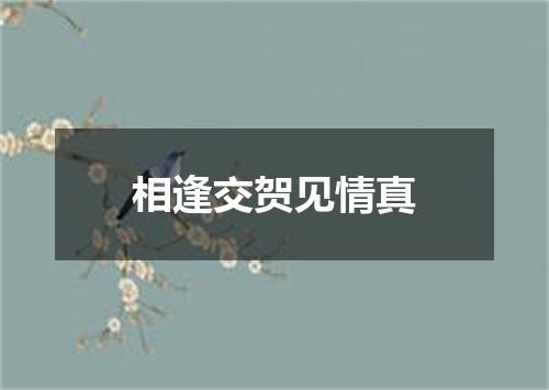 相逢交贺见情真