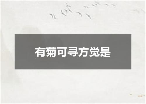 有菊可寻方觉是
