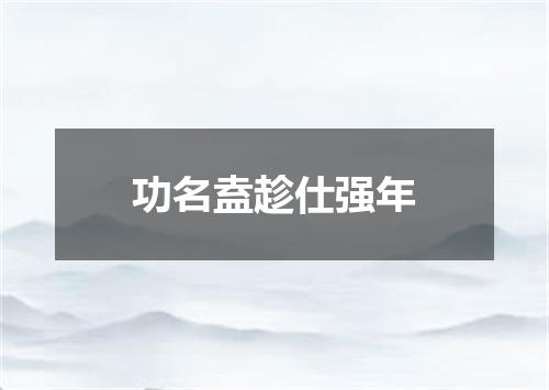 功名盍趁仕强年