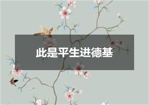 此是平生进德基