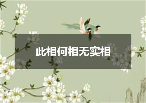 此相何相无实相
