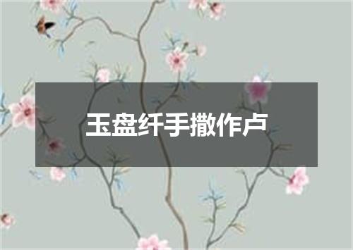 玉盘纤手撒作卢