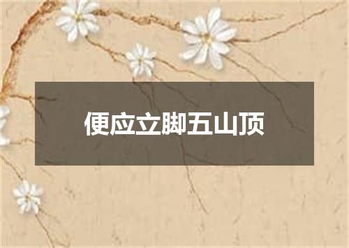 便应立脚五山顶
