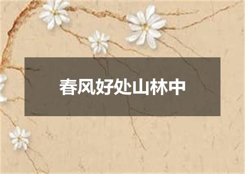 春风好处山林中