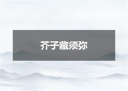 芥子藏须弥