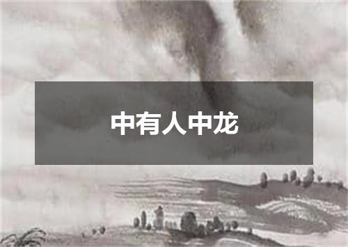 中有人中龙