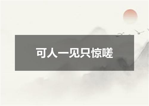 可人一见只惊嗟