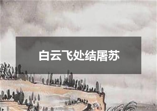 白云飞处结屠苏