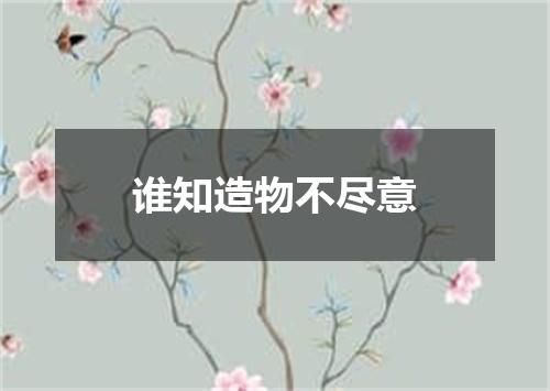 谁知造物不尽意
