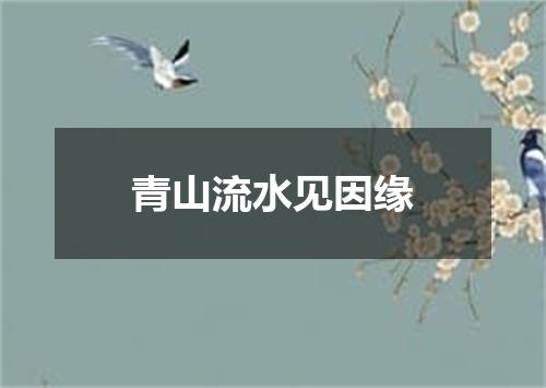 青山流水见因缘