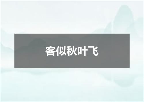 客似秋叶飞