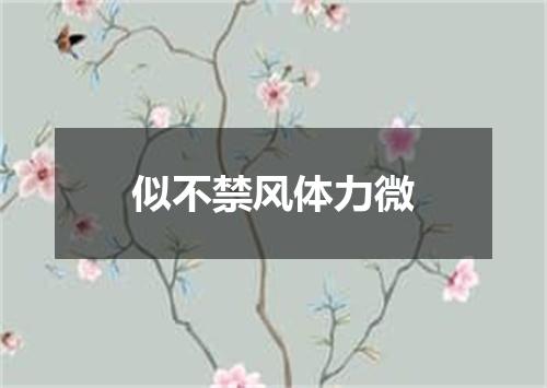 似不禁风体力微