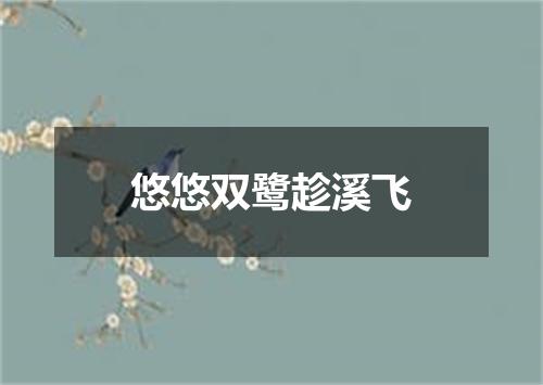 悠悠双鹭趁溪飞