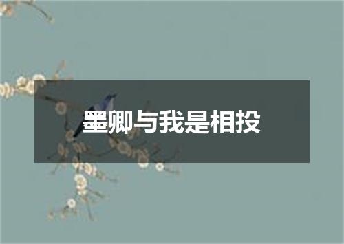 墨卿与我是相投