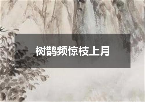 树鹊频惊枝上月